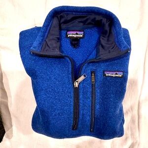 Patagonia blue better sweater